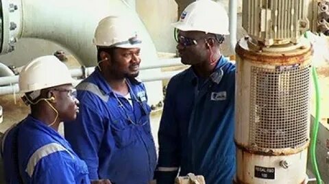 3 Best New Zealand Jobs for Foreigners Based on Visa Sponsorship, Availability, Demand, and Realistic Access